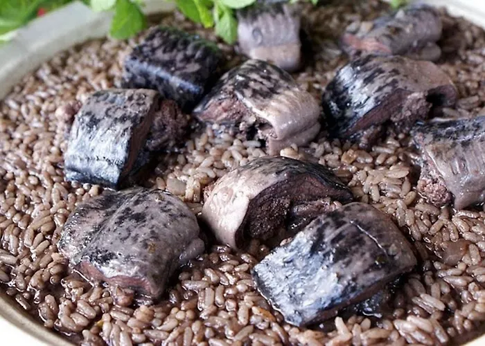 Casinha Da Vedoria דירה ויאנה דו קסטלו