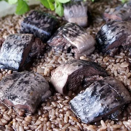 Casinha Da Vedoria Apartament Viana do Castelo